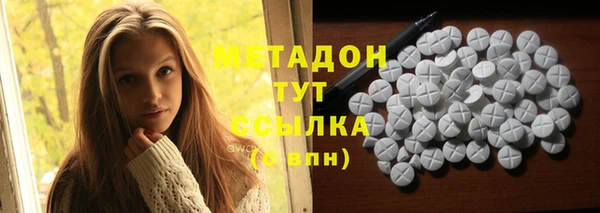 индика Абаза