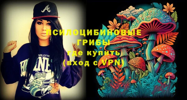 индика Абаза