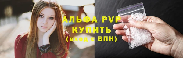 индика Абаза