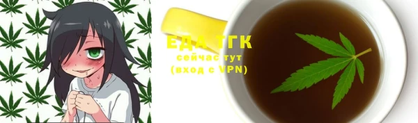 индика Абаза