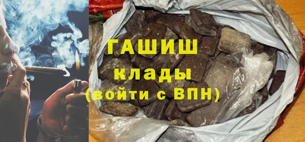 индика Абаза