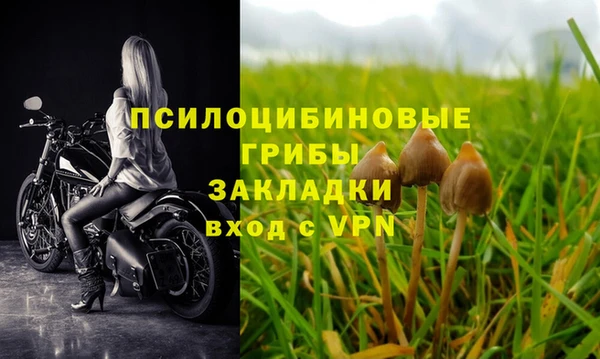 PSILOCYBIN Михайловск