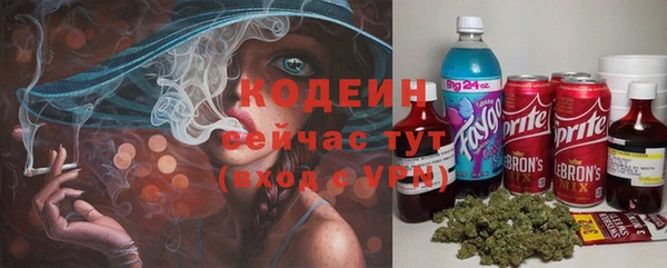 индика Абаза