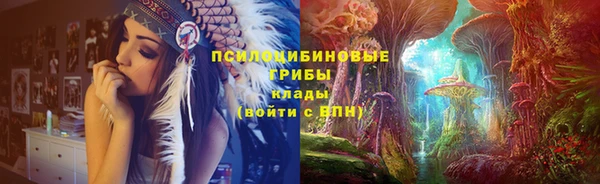 индика Абаза