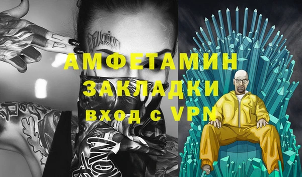 индика Абаза