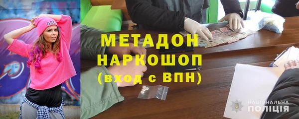 индика Абаза