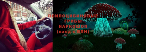 индика Абаза