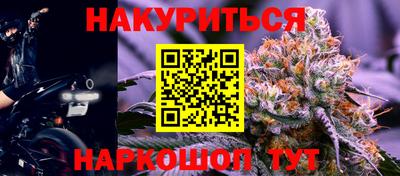 спиды Гатчина