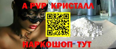спиды Гатчина