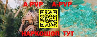 спиды Гатчина