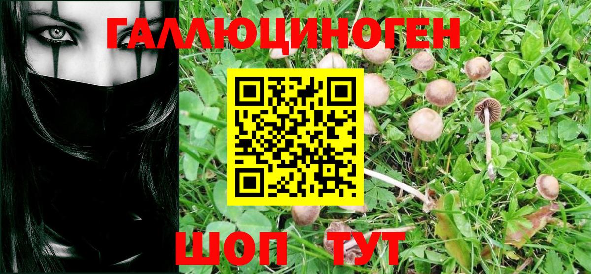 Галлюциногенные грибы мухоморы Таганрог