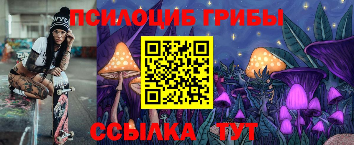 Галлюциногенные грибы MAGIC MUSHROOMS  Вход с VPN  Таганрог 
